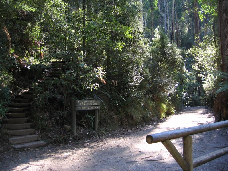 Marysville - (before the fires) Steavenson Falls, Falls Road: Steps to top of falls