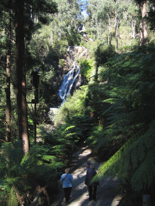 Marysville - (before the fires) Steavenson Falls, Falls Road: View towards falls from walking track