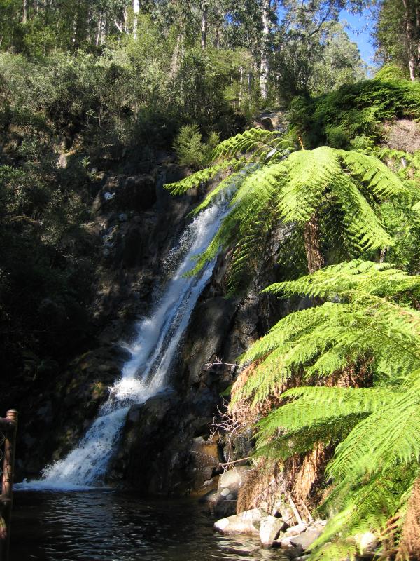 Marysville - (before the fires) Steavenson Falls, Falls Road: Steavenson Falls