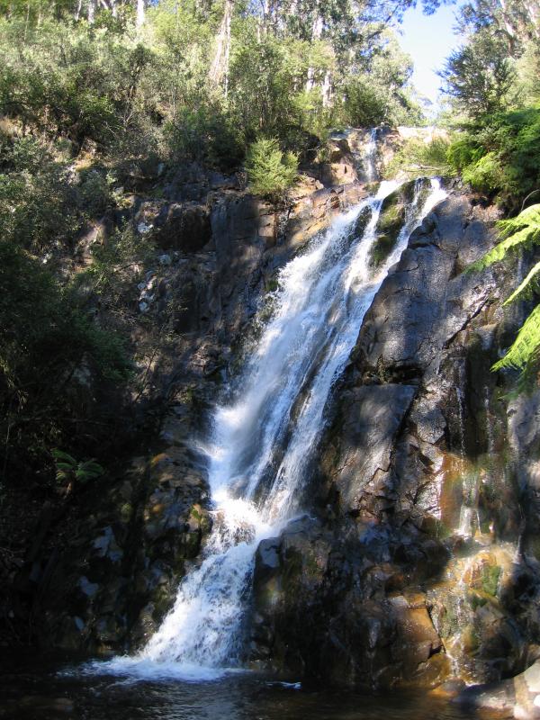Marysville - (before the fires) Steavenson Falls, Falls Road: Steavenson Falls