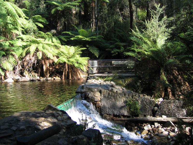 Marysville - (before the fires) Steavenson Falls, Falls Road: Steavenson River at the falls