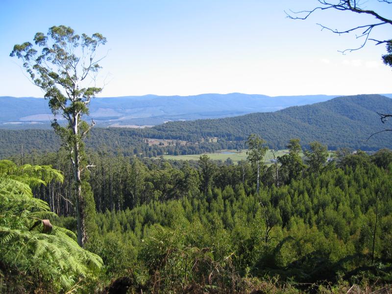Marysville - Paradise Plains Road: Westerly view from road