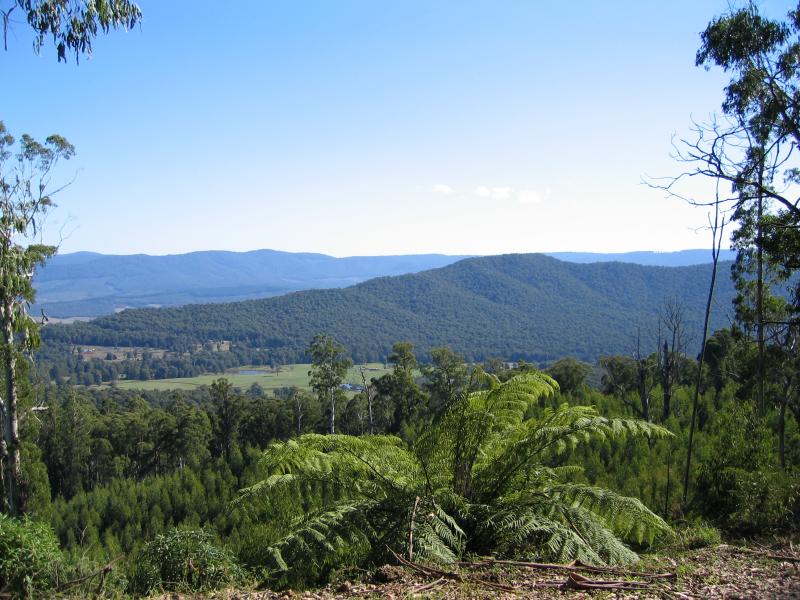 Marysville - Paradise Plains Road: Westerly view from road