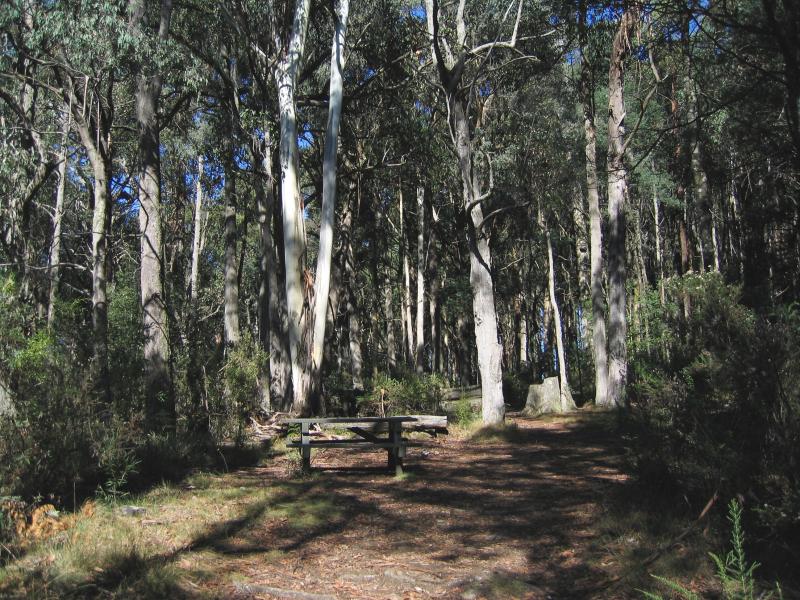 Marysville - Keppels Lookout, Paradise Plains Road: Picnic area at lookout
