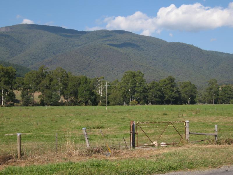 Marysville - Marysville Road between Marysville and Buxton: View east, 6 kilometres north of Marysville