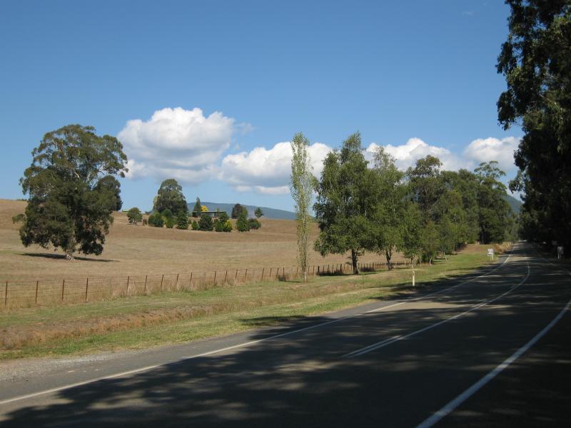 Marysville - Town of Narbethong: View south along Maroondah Hwy