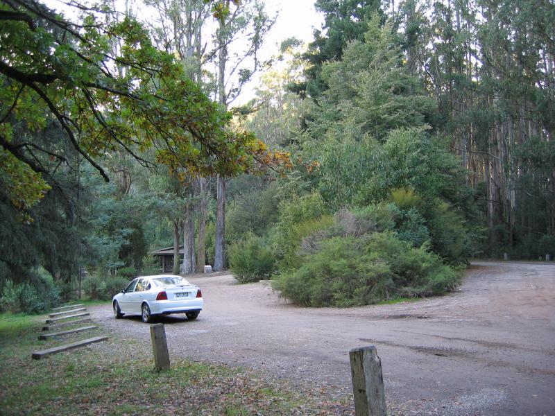 Marysville - Maroondah Highway south of Narbethong: Dom Dom Picnic Ground