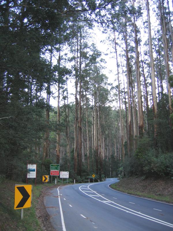 Marysville - Maroondah Highway south of Narbethong: View south along Maroondah Hwy just south of Dom Dom Picnic Ground