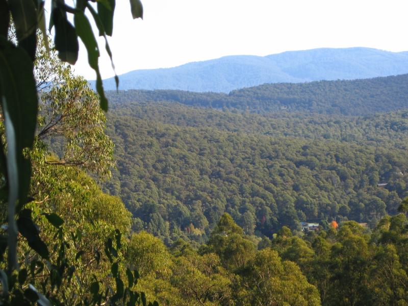 Marysville - Woods Point Road: Robley Spur lookout
