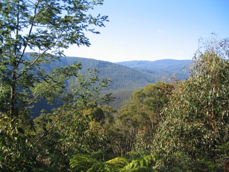 Marysville - Woods Point Road: Nichol lookout