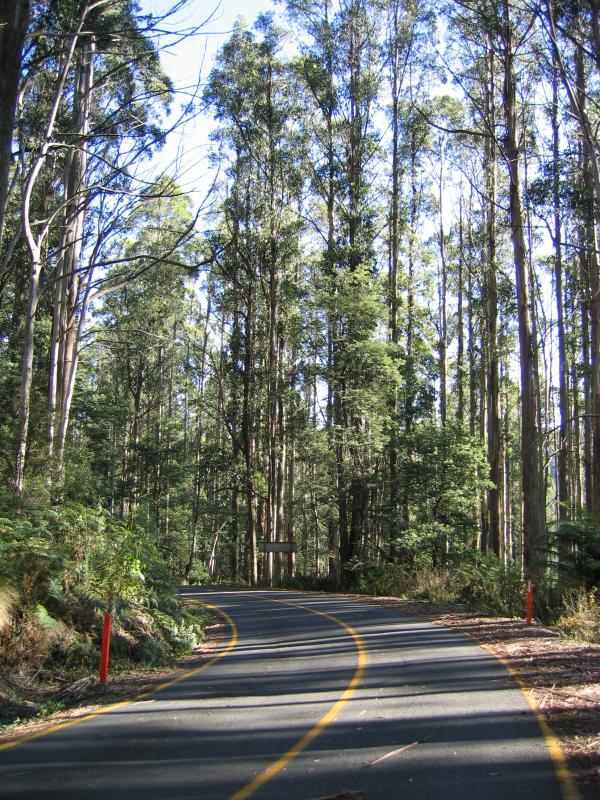 Marysville - Lake Mountain Road: View south along Lake Mountain Rd