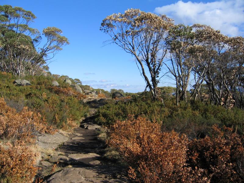 Marysville - Lake Mountain alpine resort: Path to Marysville lookout