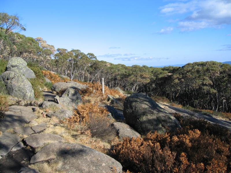 Marysville - Lake Mountain alpine resort: At Marysville lookout