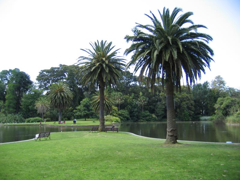 Melbourne CBD - Royal Botanic Gardens: Ornamental Lake