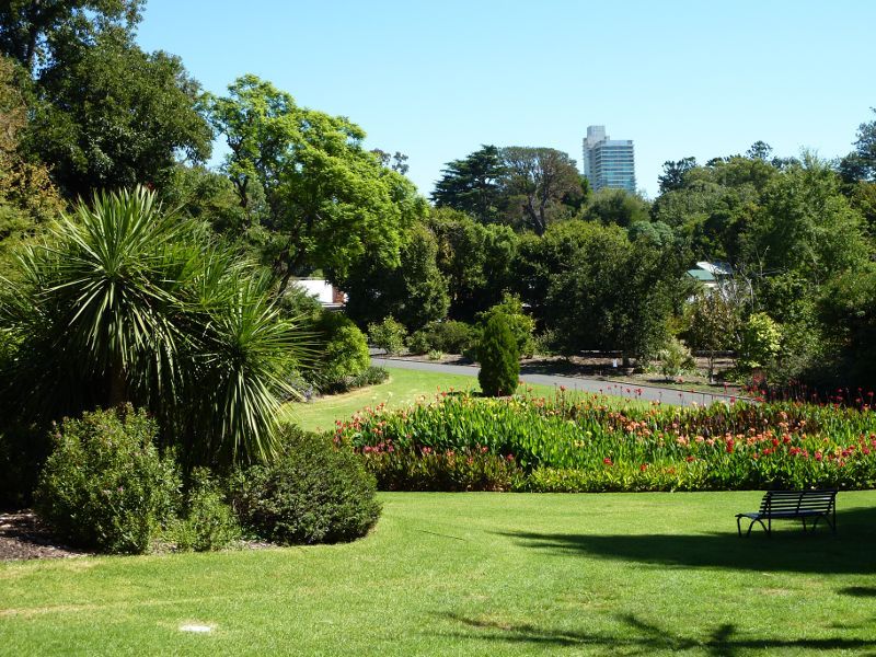 Melbourne CBD - Royal Botanic Gardens: Canna bed rain garden