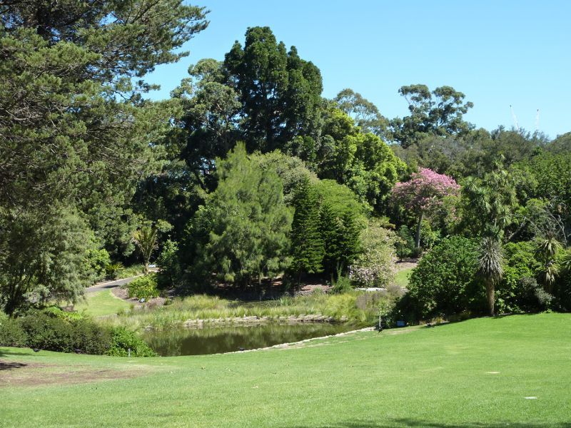 Melbourne CBD - Royal Botanic Gardens: View towards Nymphaea Lily Lake
