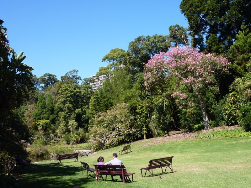 Melbourne CBD - Royal Botanic Gardens: Lawns at western side of Nymphaea Lily Lake