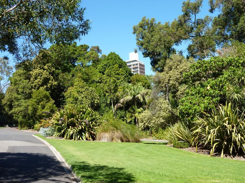 Melbourne CBD - Royal Botanic Gardens: Path near eastern side of Nymphaea Lily Lake