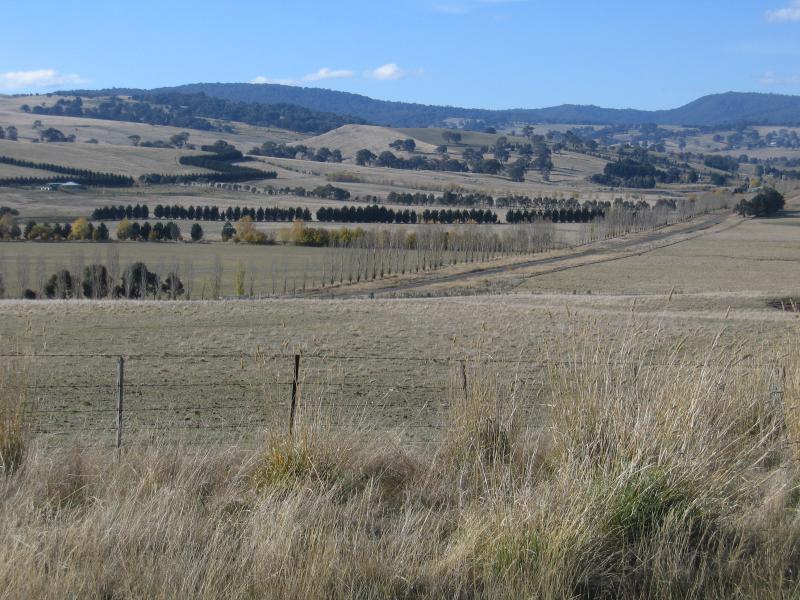 Merrijig - Views near Merrijig: View north-east across countryside, 4 km west of town