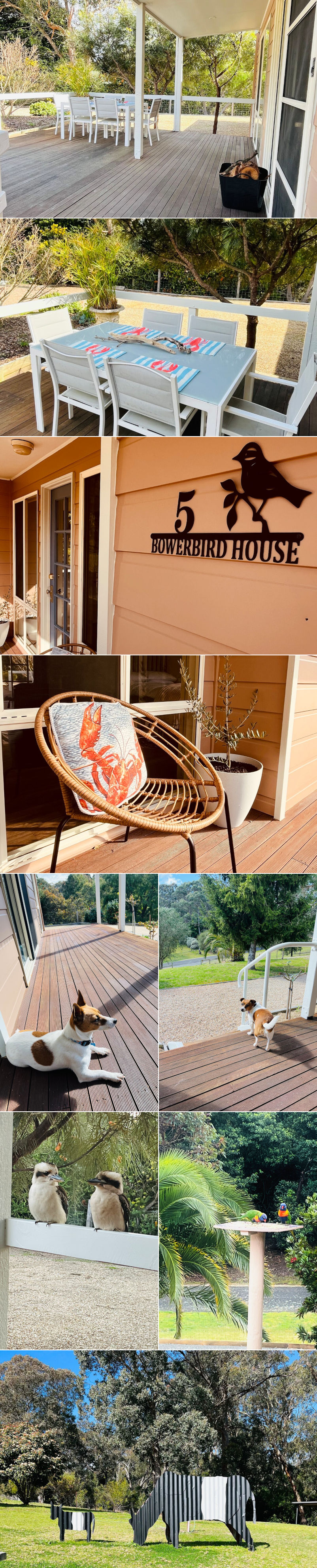 Bowerbird House - Outside