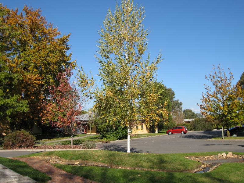 Milawa - Brown Brothers Milawa Vineyard, Bobinawarrah Road: Car park and administrative offices