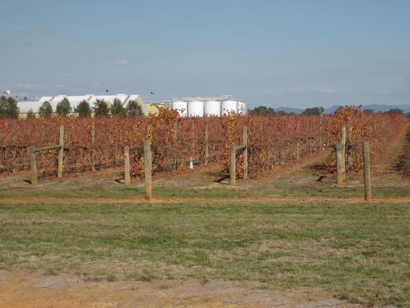 Milawa - Brown Brothers Milawa Vineyard, Bobinawarrah Road: View south towards vineyard from Snow Rd