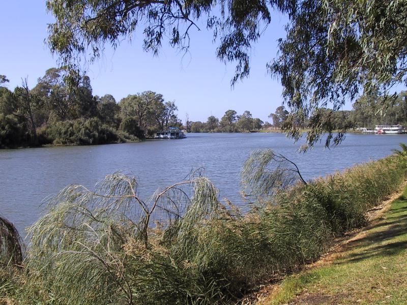 Mildura - Murray River in town: View east along Murray River towards wharf