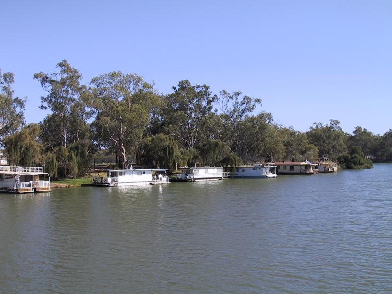 Mildura - Murray River in town: Houseboats on the river