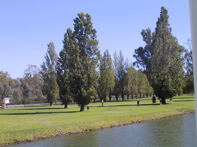 Mildura - Lock 11, Lock Island and Weir: River at Lock 11