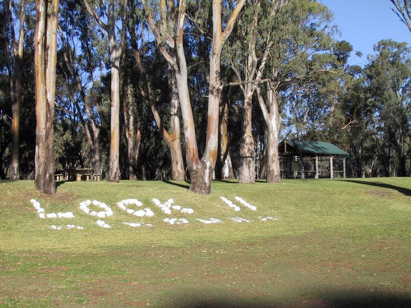 Mildura - Lock 11, Lock Island and Weir: Lock Island