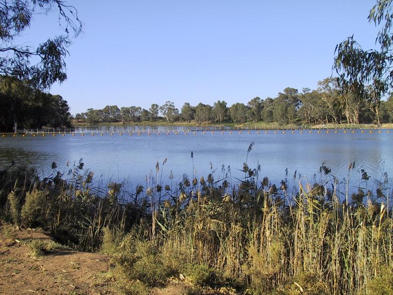 Mildura - Lock 11, Lock Island and Weir: View to weir and Lock Island from banks of the Murray River