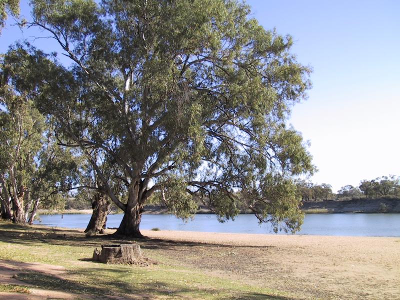 Mildura - Apex Park and Beach: Apex Beach