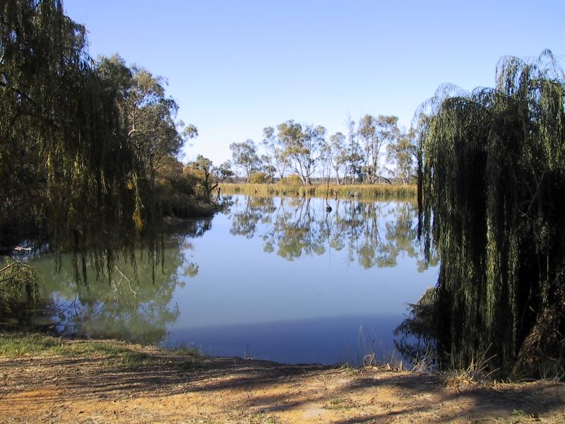 Mildura - Kings Billabong: Billabong