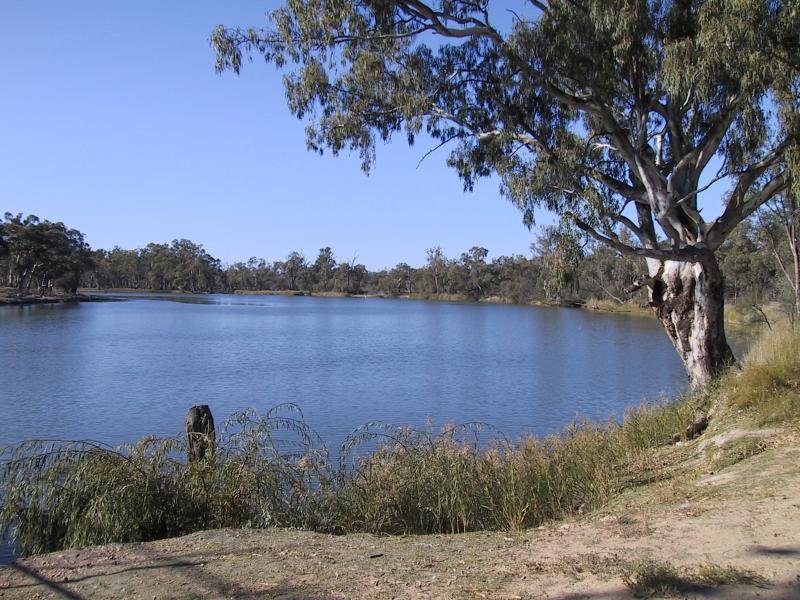 Mildura - Kings Billabong: Murray River at Psyche Bend
