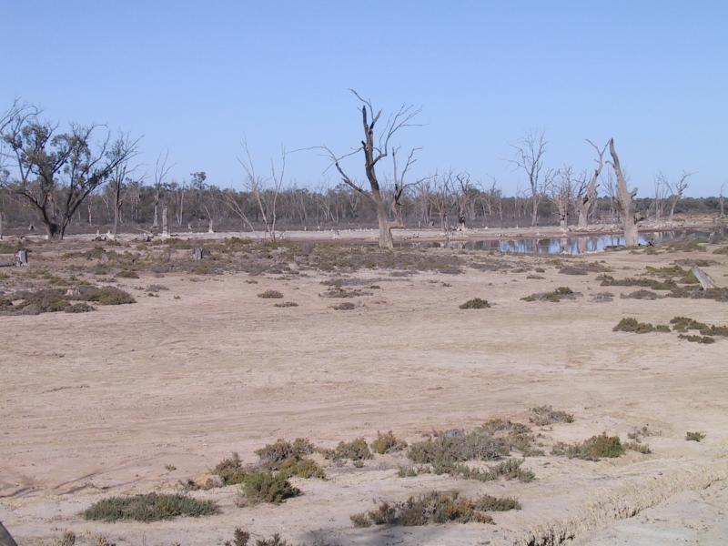 Mildura - Kings Billabong: Floodplain at Psyche Bend