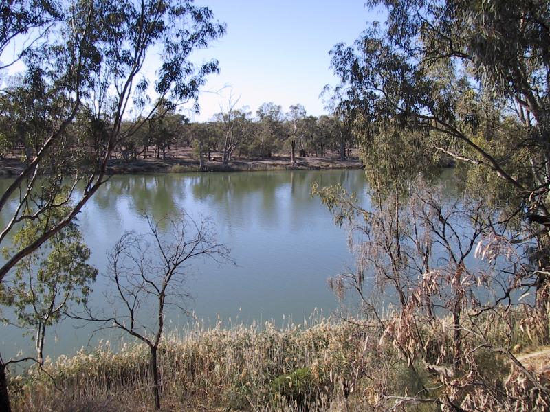 Mildura - Red Cliffs Scenic Reserve: Murray River, Snake Gully Car Park off Woomera Av