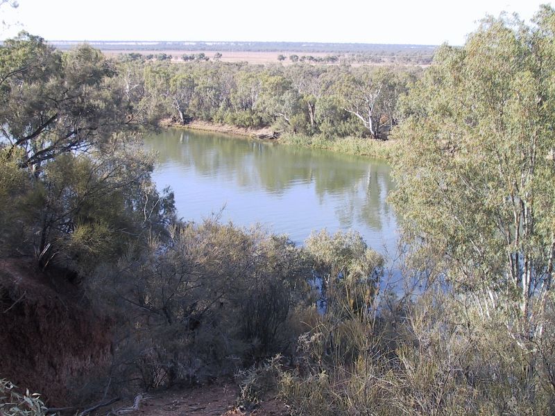 Mildura - Merbein - river lookout off Forbes Drive - North-easterly view across Murray River