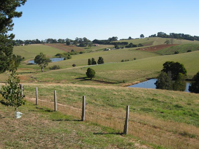 Mirboo North - Tourist drive, Old Thorpdale Road and Dickies Hill Road - View south, Old Thorpdale Rd around 3 km north of town