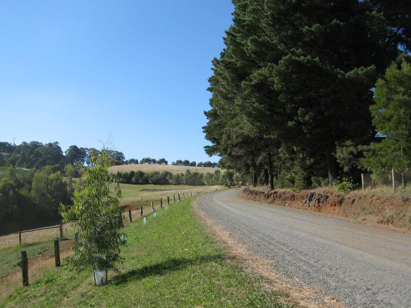 Mirboo North - Tourist drive, Old Thorpdale Road and Dickies Hill Road - View north along Old Thorpdale Rd, around 3 km north of town