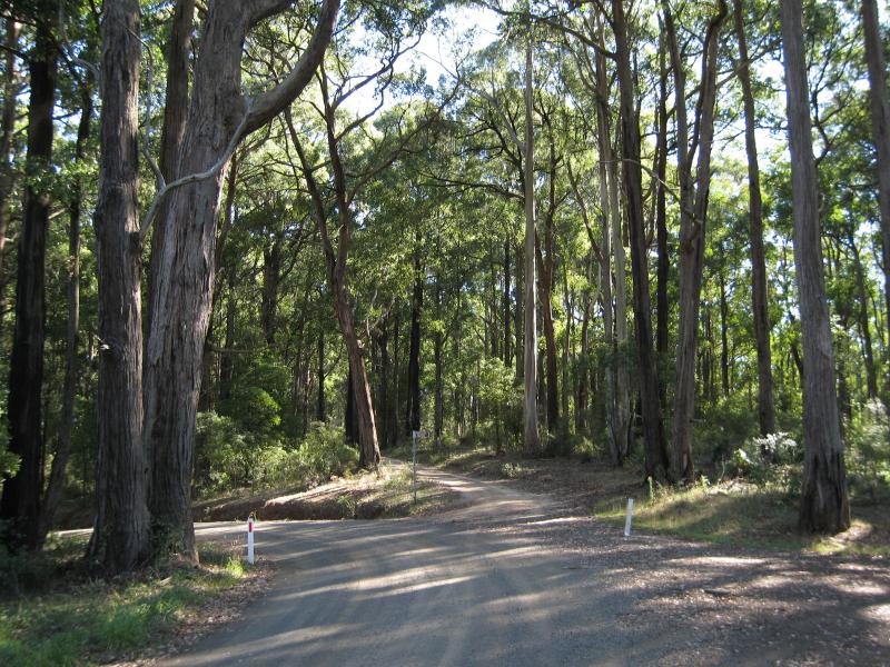 Mirboo North - Dickies Hill Reserve, Dickies Hill Road - View west along Dickies Hill Rd towards reserve entrance