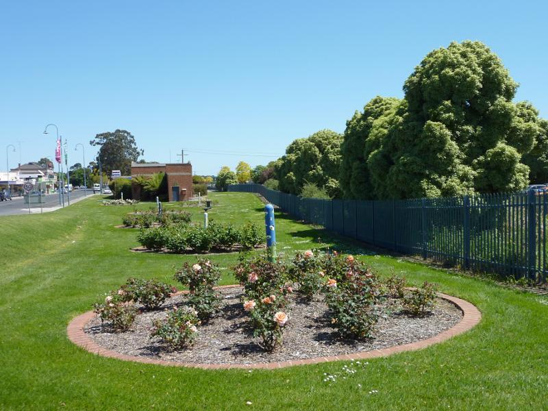 Moe - Lloyd Street near railway station: View west through rose gardens, Lloyd St east of Linton Av
