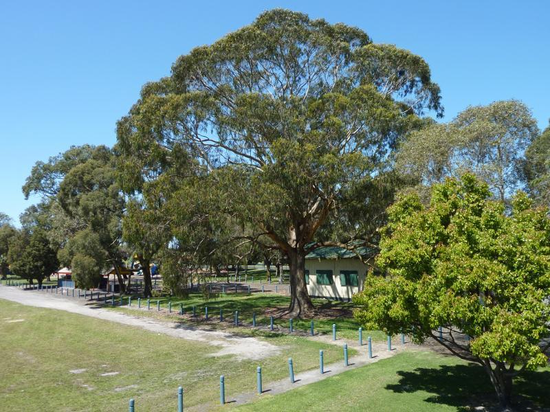 Moe - Apex Park and Lions Park, Waterloo Road: View through Lions Park