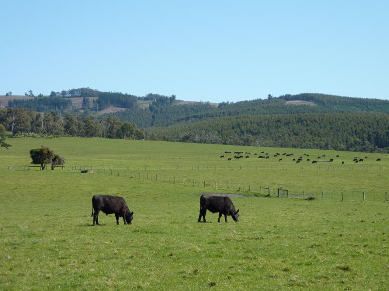Moe - Around Moe: Southerly view from Mountain Glen Dr at Old Gippstown Dr