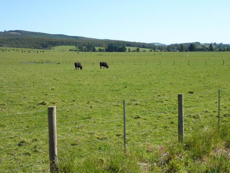 Moe - Around Moe: South-westerly view from Mountain Glen Dr at Old Gippstown Dr