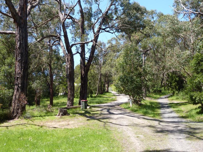 Moe - Edward Hunter Heritage Bush Reserve, Coalville Road: Path between car park and lake