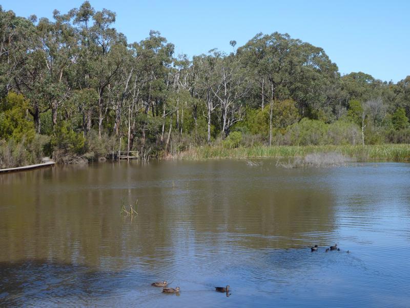 Moe - Edward Hunter Heritage Bush Reserve, Coalville Road: View across lake