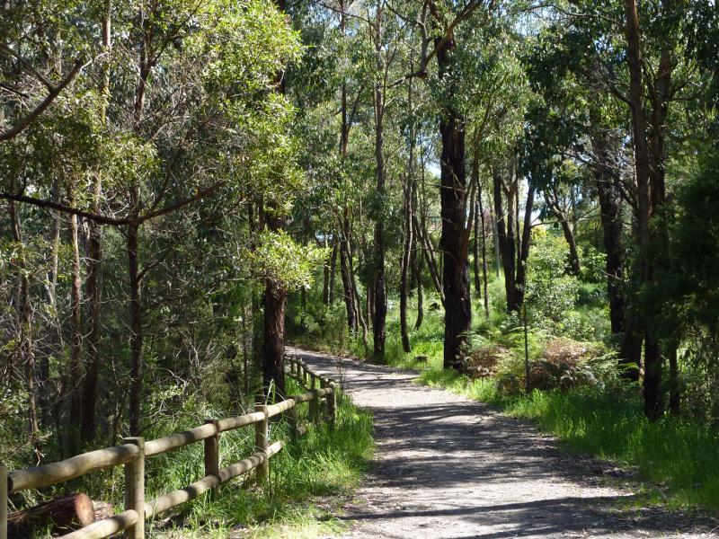 Moe - Edward Hunter Heritage Bush Reserve, Coalville Road: Path beside lake