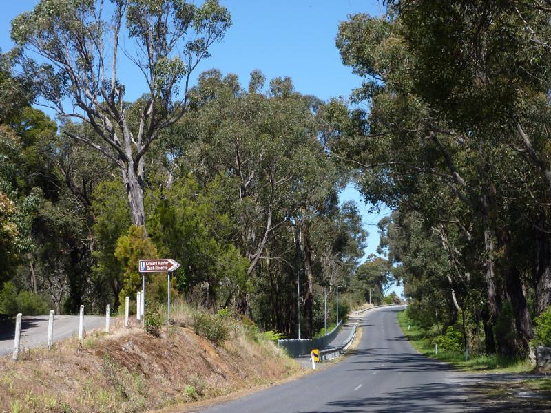 Moe - Edward Hunter Heritage Bush Reserve, Coalville Road: View south-east along Coalville Rd towards second entrance to reserve