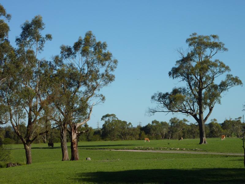 Moe - West side of Lake Narracan along Becks Bridge Road: South-easterly view across farm land, just south of La Trobe River bridge