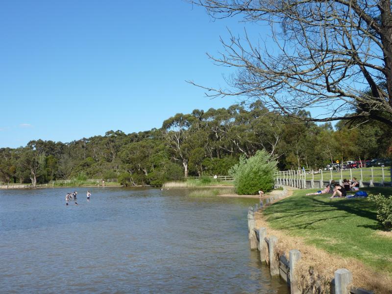 Moe - Turras Beach, west end of South Shore Road at Lake Narracan: Easterly view along lake foreshore at entrance to jetty